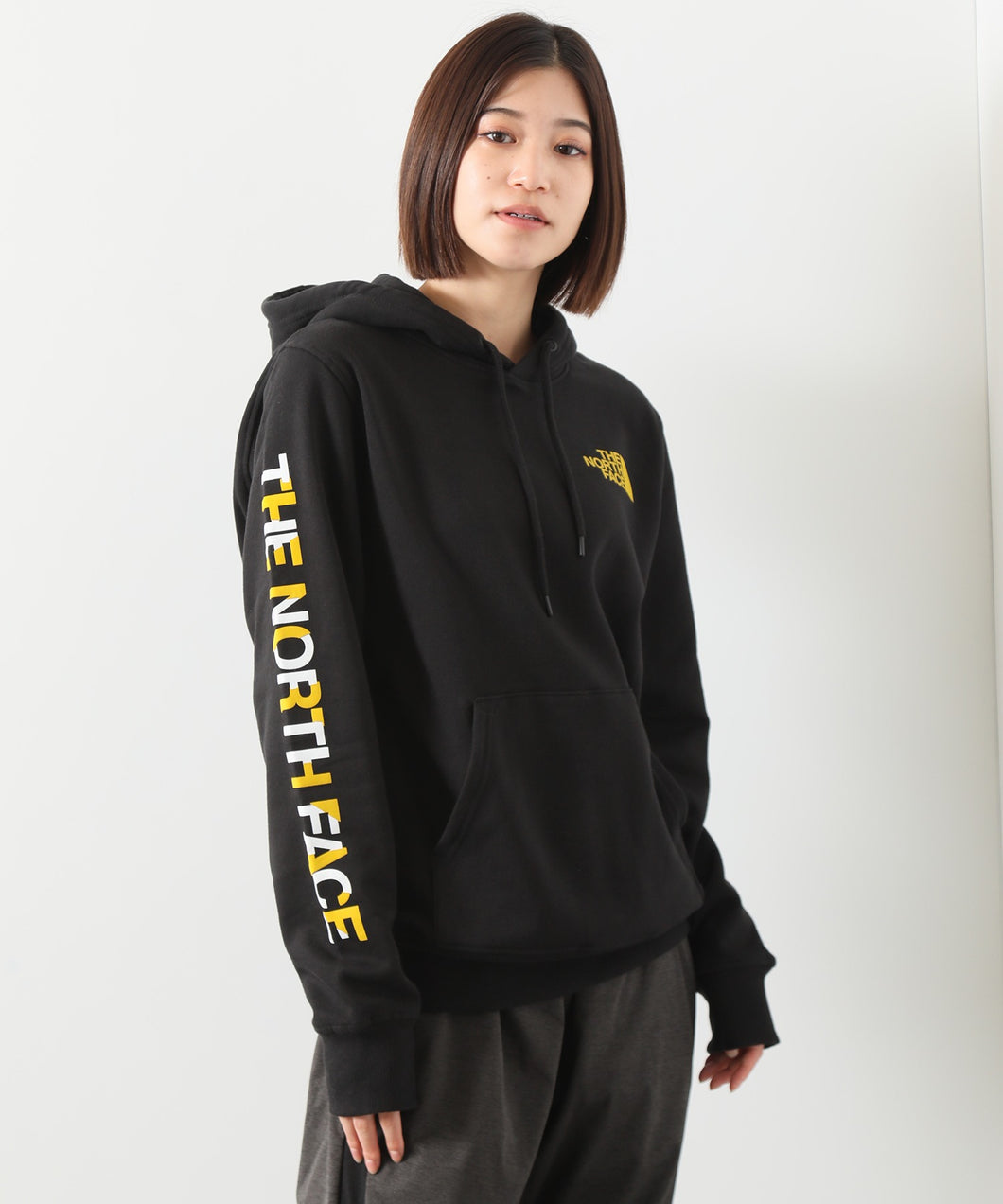 【THE NORTH FACE/ザノースフェイス】Coordinates Recycled Pullover Hoodie/プルオーバーフーディー/パーカー